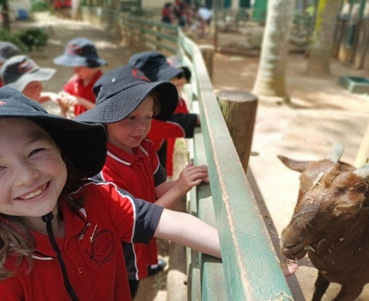 students_feeding_animal